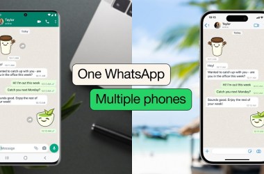 English WhatsApp Multi phone